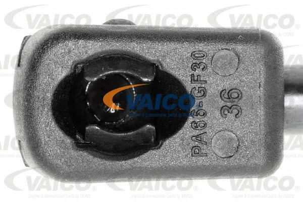 Gas Spring, boot/cargo area