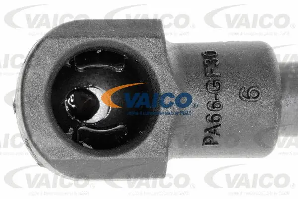 Gas Spring, boot/cargo area