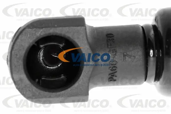 Gas Spring, boot/cargo area