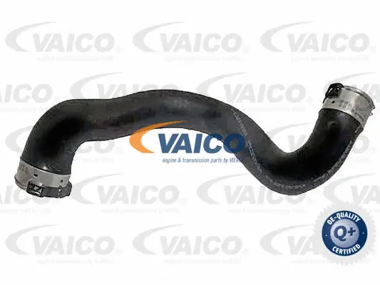 Charge Air Hose