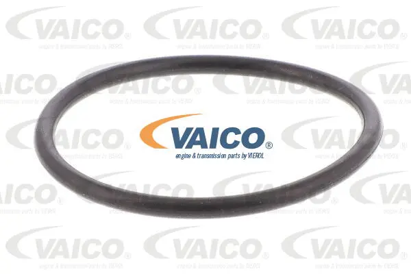 Hydraulic Filter, automatic transmission