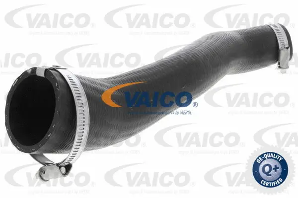 Charge Air Hose