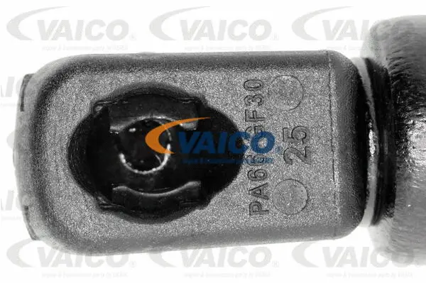 Gas Spring, boot/cargo area