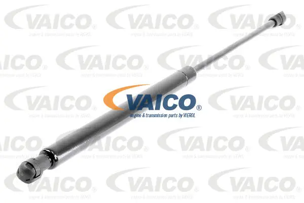 Gas Spring, boot/cargo area