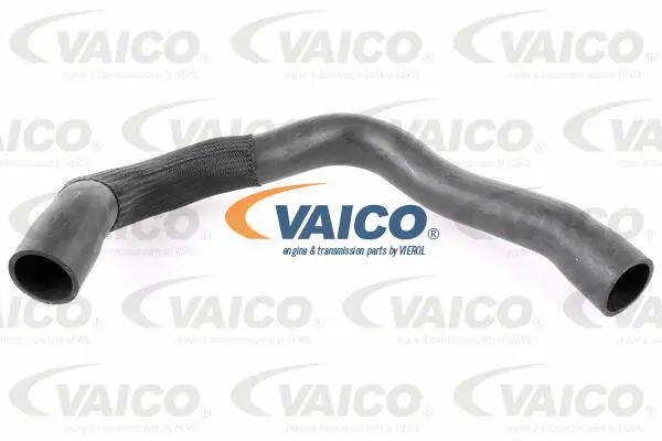 Charge Air Hose