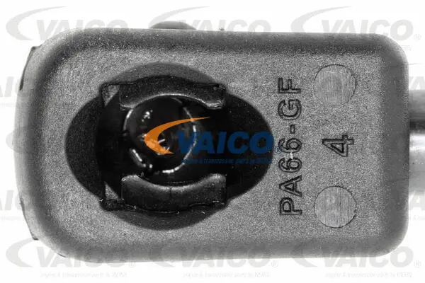 Gas Spring, boot/cargo area