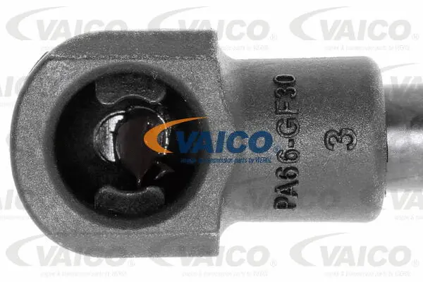 Gas Spring, boot/cargo area