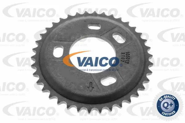 Gear/Sprocket, camshaft