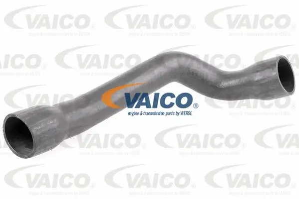 Charge Air Hose