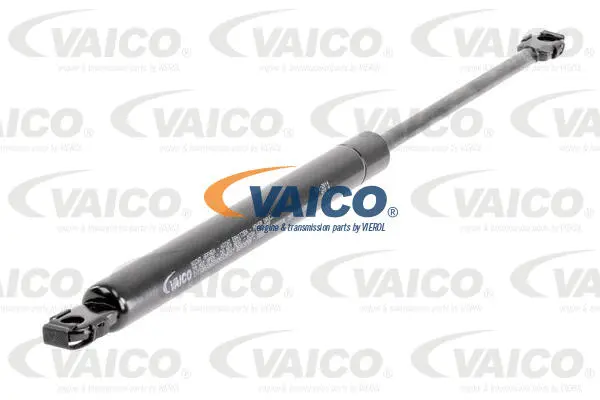 Gas Spring, boot/cargo area