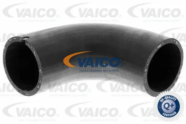 Charge Air Hose