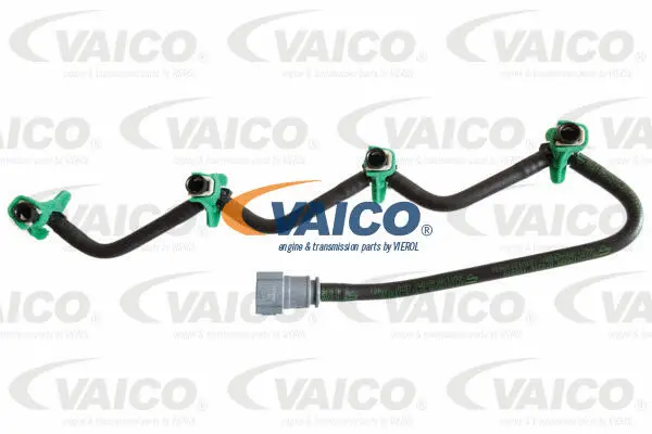 Hose, fuel overflow
