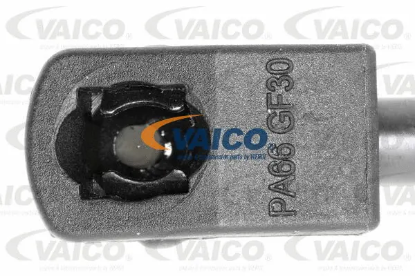 Gas Spring, rear window