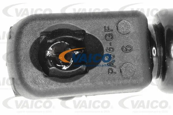 Gas Spring, boot/cargo area