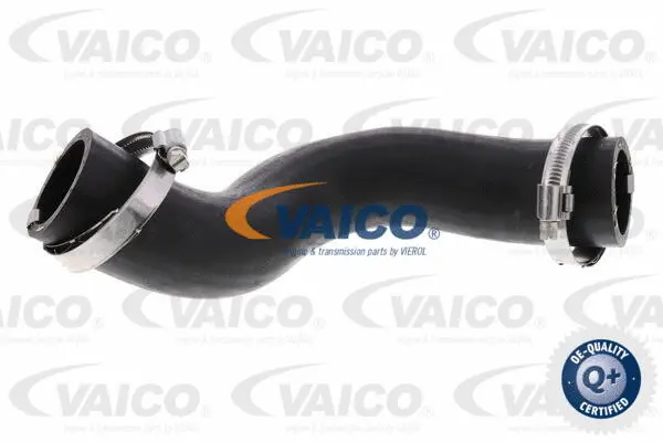 Charge Air Hose
