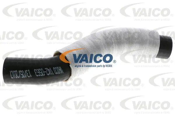 Charge Air Hose