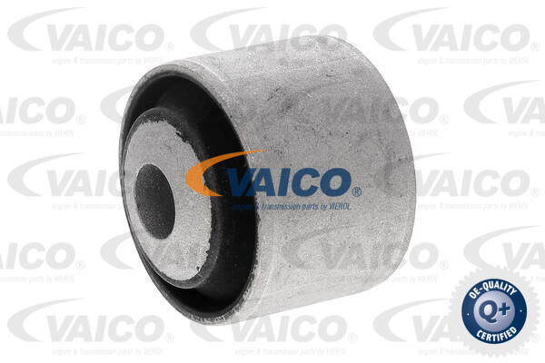 Mounting, control/trailing arm