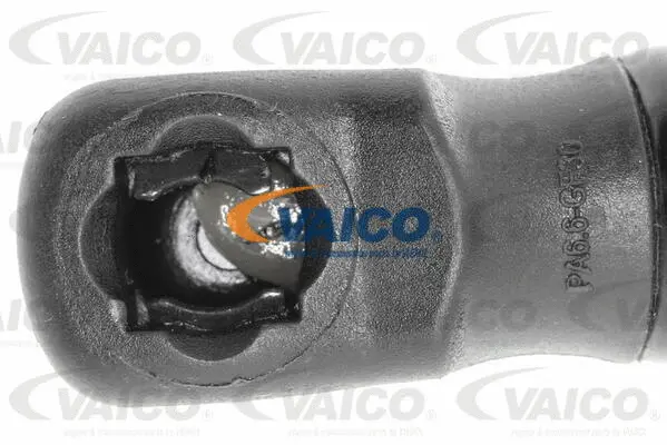 Gas Spring, boot/cargo area