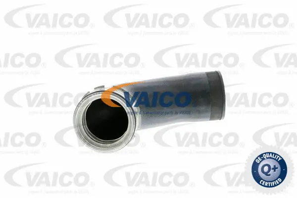 Charge Air Hose