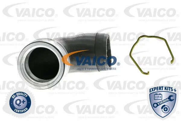 Charge Air Hose