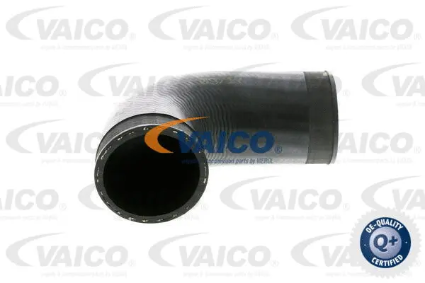 Charge Air Hose
