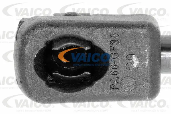 Gas Spring, boot/cargo area