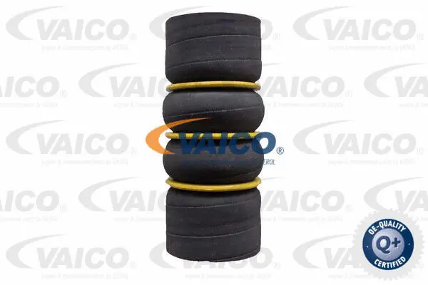 Charge Air Hose