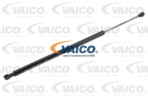 Gas Spring, boot/cargo area