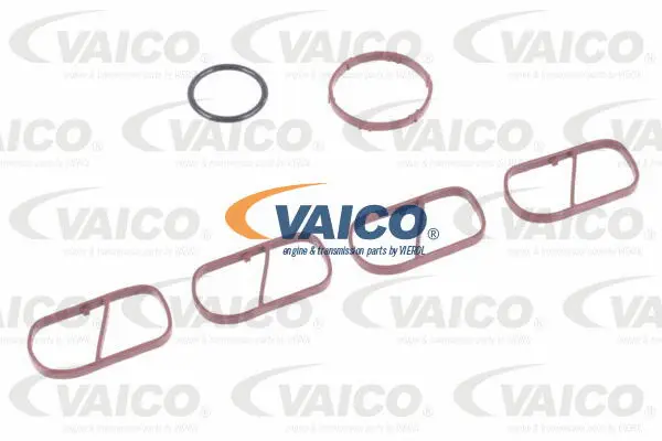 Intake Manifold Module