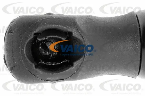 Gas Spring, bonnet