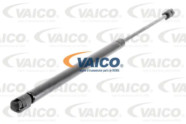 Gas Spring, boot/cargo area