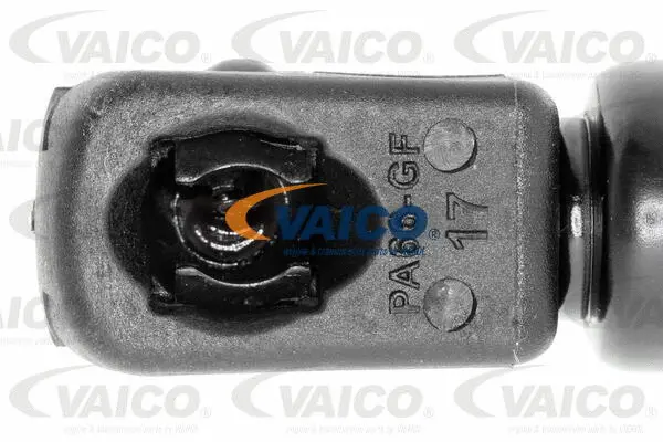 Gas Spring, boot/cargo area