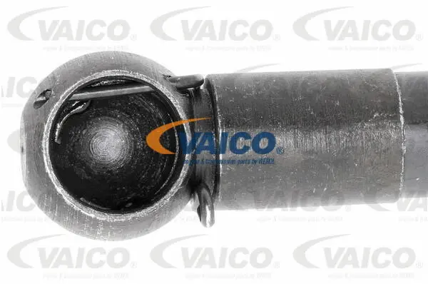 Gas Spring, boot/cargo area