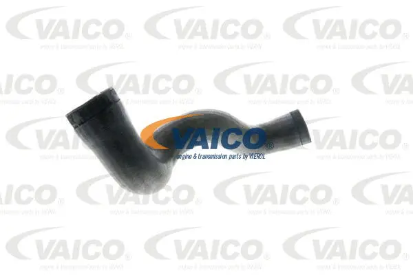 Charge Air Hose