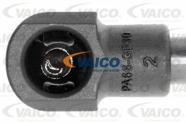 Gas Spring, boot/cargo area