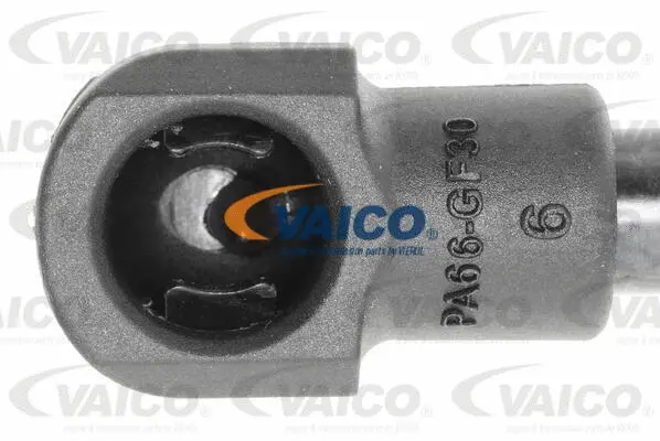 Gas Spring, boot/cargo area