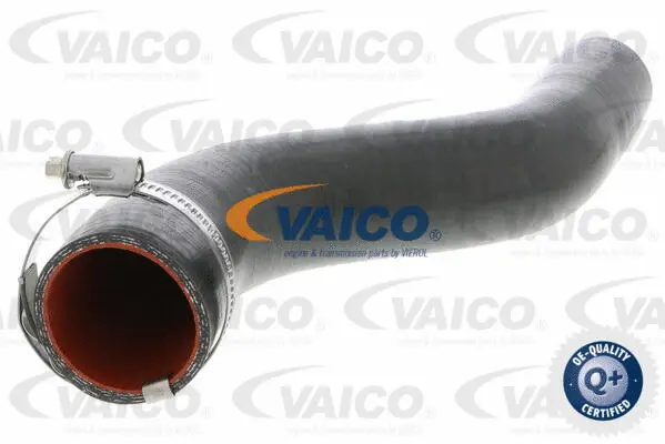 Charge Air Hose