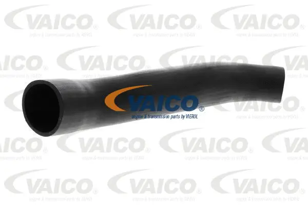 Charge Air Hose