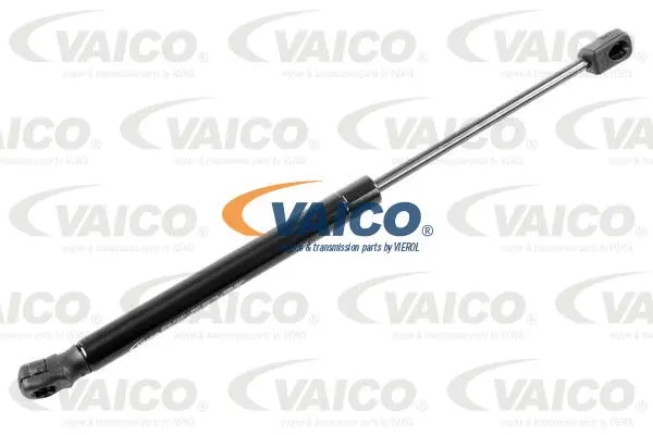 Gas Spring, boot/cargo area