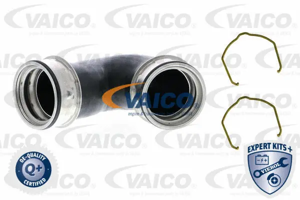 Charge Air Hose