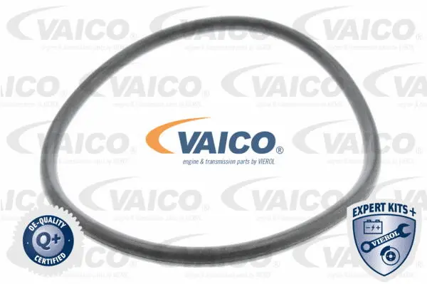 Hydraulic Filter, automatic transmission