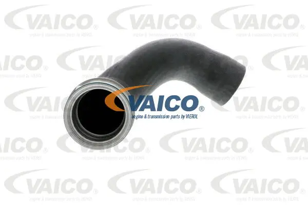 Charge Air Hose