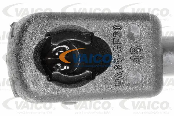 Gas Spring, boot/cargo area