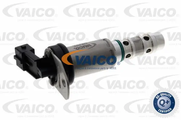 Control Valve, camshaft adjustment