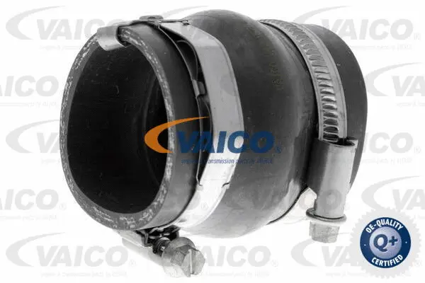 Charge Air Hose