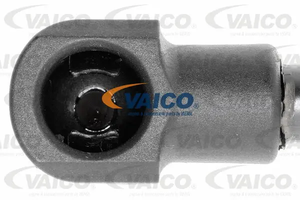 Gas Spring, bonnet