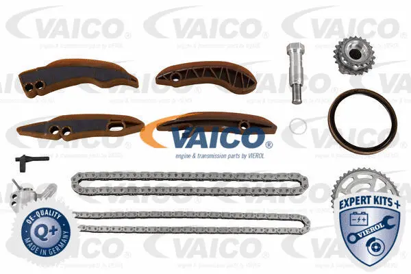 Timing Chain Kit