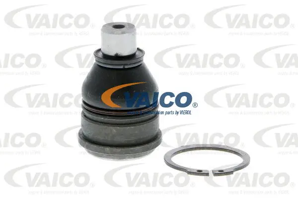 Mounting, control/trailing arm