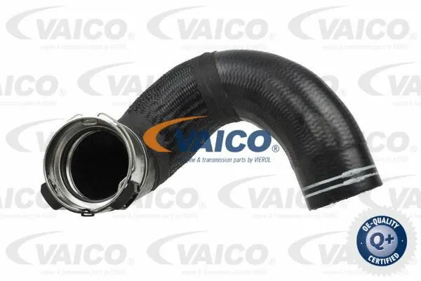 Charge Air Hose