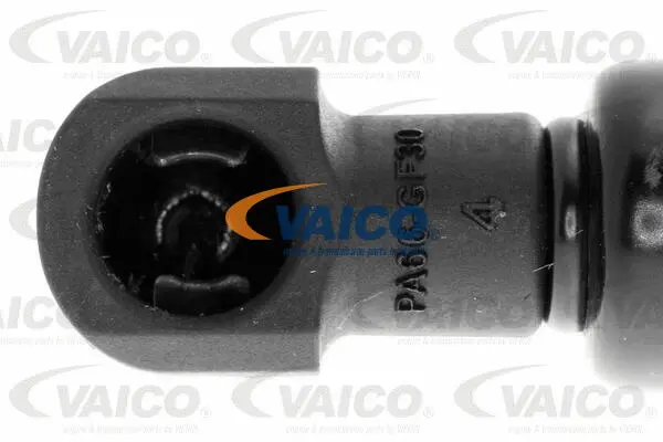 Gas Spring, bonnet